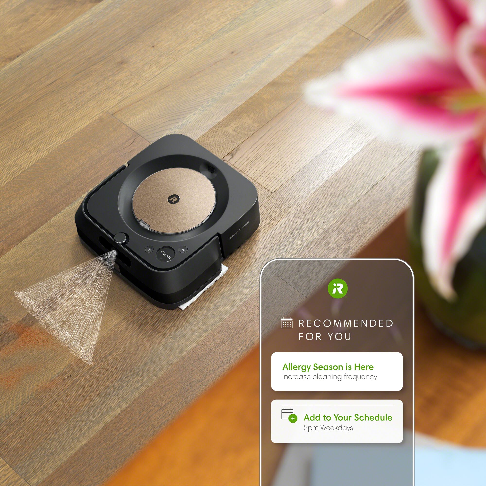 Braava jet m6 Robot Mop iRobot iRobot